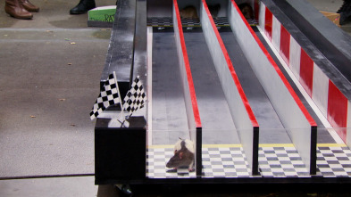 Imagen de Los Thundermans (T2): Ep.14 La increíble carrera ratonil - 1
