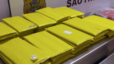 Imagen de Alerta aeropuerto 5: Brasil  - 5