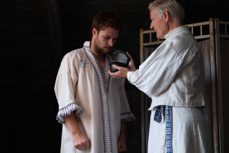 Imagen de Midsommar - 13