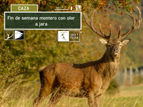 Imagen de Fin de semana montero con olor a jara - 2