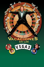 Imagen de Vacaciones en Las Vegas - 1
