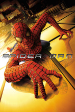 Imagen de Spider-Man - 1