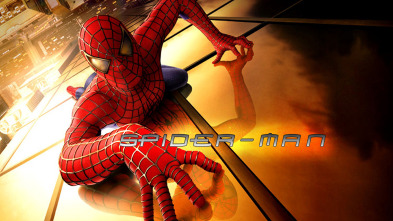 Imagen de Spider-Man - 2