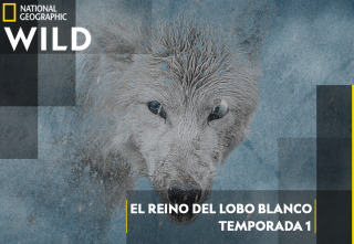 El reino del lobo blanco: La última caza