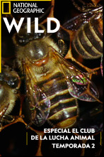 Imagen de Especial El club de la...: Modo bestia - 1