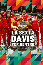 Imagen de La sexta Davis por dentro - 1