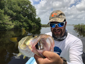 Imagen de De viaje: pescando en los manglares mayas - 3
