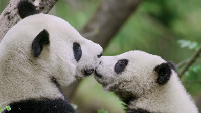 Los reinos ocultos de China 