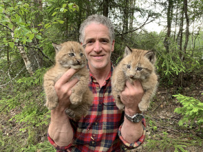 Imagen de Los felinos y yo: Ep.1 - 4