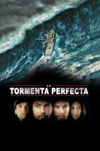 Imagen de La tormenta perfecta - 1