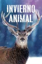 Imagen de Invierno animal - 1