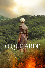 Imagen de O que arde - 1