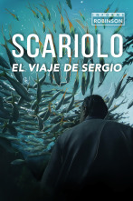 Imagen de Informe Robinson (7): Scariolo: el viaje de Sergio - 1