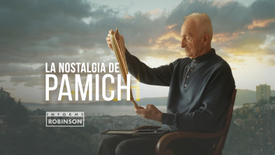 Imagen de Informe Robinson (7): La nostalgia de Pamich - 2