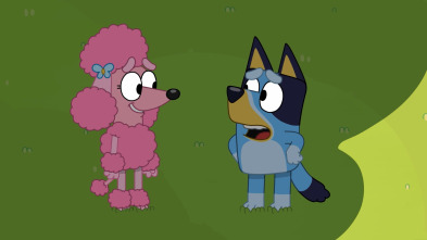 Imagen de Bluey (T1): Tierra a la sombra - 1