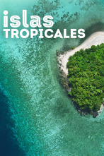 Imagen de Islas tropicales  - 1