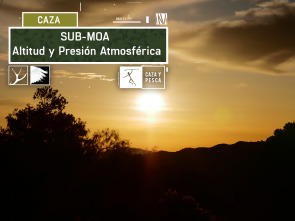 Imagen de Sub Moa (T1): Altitud y presión atmosférica - 2