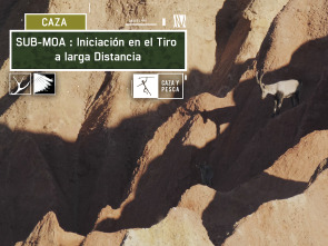 Imagen de Sub Moa (T1): Iniciación en el tiro a larga distancia - 2