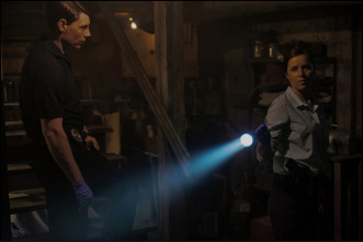 Imagen de Perdida - 11