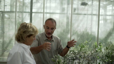 Imagen de Scott y Milá (T2): La felicidad está en el campo - 4