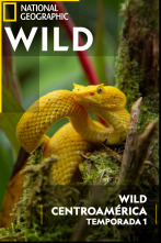 Imagen de Wild Centroamérica: Guatemala - 1