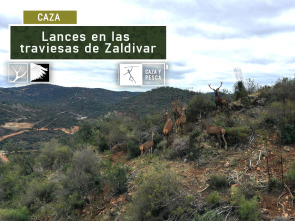 Lances en las traviesas de Zaldívar