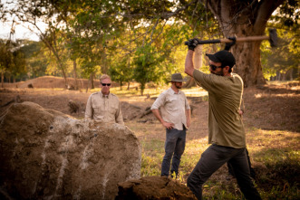 Imagen de Los millones de Escobar  - 6