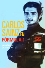 Imagen de Informe Robinson (2): Carlos Sainz en Fórmula 1 - 1