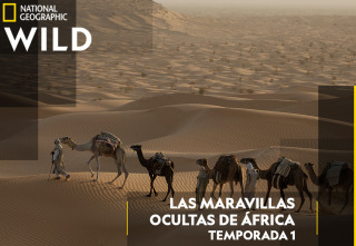 Imagen de Las maravillas ocultas...: Etiopía - 2