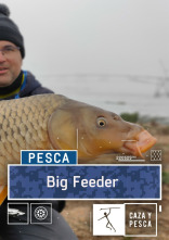 Big Feeder