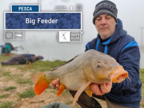 Big Feeder