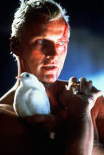 Imagen de Blade Runner (El montaje del director) - 11