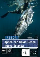 Apnea con David... (T1): Nueva Zelanda