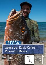 Apnea con David... (T1): Panamá y México