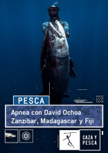 Apnea con David... (T1): Zanzibar, Fiji y Madagascar