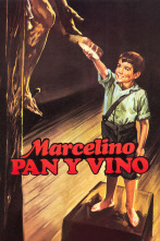 Imagen de Marcelino pan y vino - 1