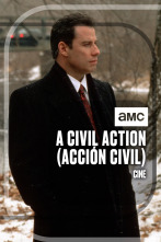 A Civil Action (Acción civil)