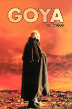 Imagen de Goya en Burdeos - 1