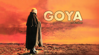 Imagen de Goya en Burdeos - 2