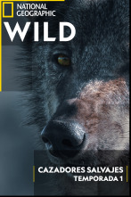 Imagen de Cazadores salvajes: Lobos y chacales - 1