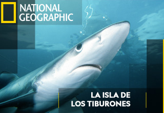 Imagen de La isla de los tiburones - 2