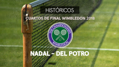 Imagen de Ronda Masculina: Nadal- Del Potro. Cuartos 2018 - 2