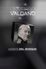 Universo Valdano (3): Vicente del Bosque