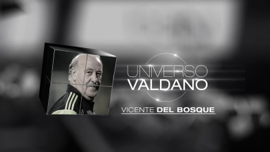 Universo Valdano (3): Vicente del Bosque