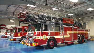 Imagen de Fabricado en un día  - 12