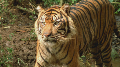 Imagen de Los secretos naturales del ecuador  - 4