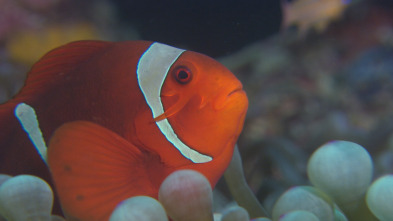 Imagen de Los secretos naturales del ecuador  - 9