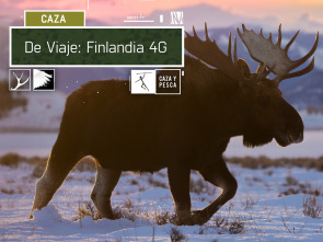 Imagen de De viaje: Finlandia 4G - 2