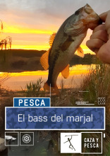 Imagen de El bass del marjal - 1