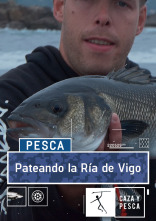 Pateando la ría de Vigo